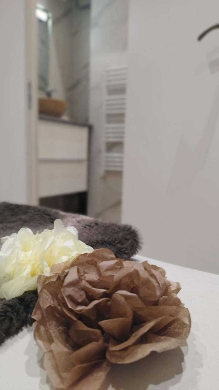 Appartement Lumineux En Rdc Bourgoin-Jallieu Dış mekan fotoğraf